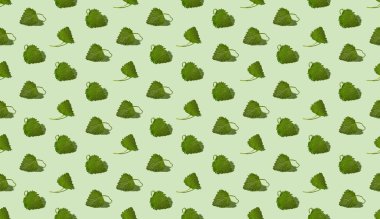 Yenebilir taze bitkilerle kusursuz izometrik desen. Isırgan otu yaprakları. Bitkisellik ya da alternatif tıp konsepti.