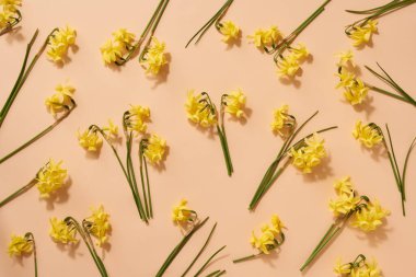 Turuncu arka planda taze sarı nergis çiçekleri olan bahar deseni