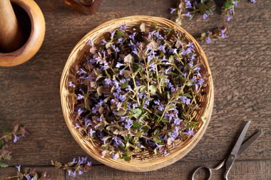 Taze çiçek açan sarmaşık sepetinde şifalı bitkiler, üst manzara.