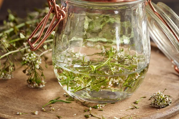 Burk Fylld Med Blommande Herdes Väska Och Alkohol Förberedelse Hemlagad — Stockfoto