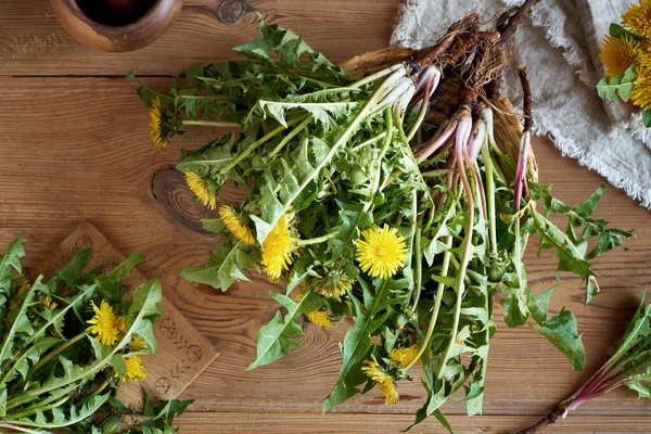 Las Plantas Enteras Del Diente León Con Las Raíces Sobre —  Fotos de Stock