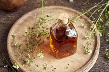 Taze çoban çantası bitkisiyle ev yapımı bitki özü.