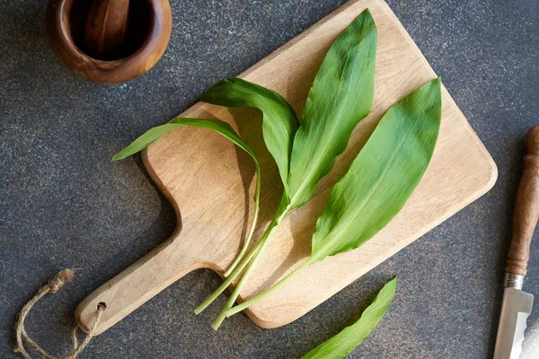 Hojas Frescas Ajo Silvestre Joven Una Planta Comestible Silvestre Que — Foto de Stock