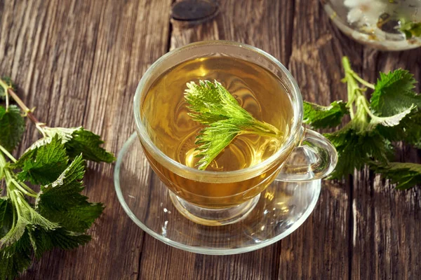 Pokrzywa Herbata Przezroczystej Szklanej Filiżance Świeżym Ziołem — Zdjęcie stockowe