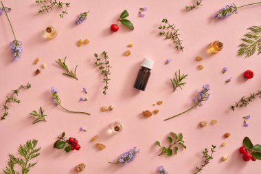 Tütsü, lavanta, kekik üzümü, kekik ve pastel pembe arka planda diğer otlarla birlikte gerekli yağ şişeleri.