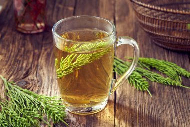 Bir fincan bitkisel çay ve taze at kuyruğu şifalı bitki.