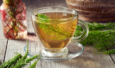 Taze at kuyruğu dallı bir fincan bitki çayı.