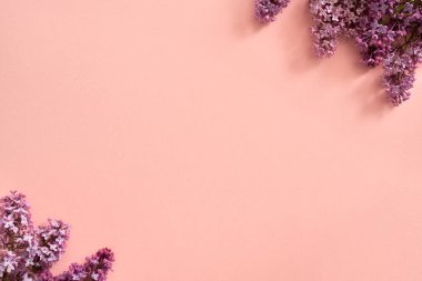 Bahar konsepti - Pastel pembe arka planda taze leylak çiçekleri fotokopi alanı ile