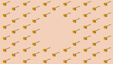 Pastel turuncu arka planda taze çiçek açan karahindiba desenli ve ortasında fotokopi alanı olan bir desen.