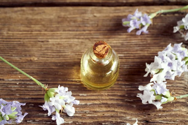 Botella Aceite Esencial Con Flores Lavanda Sobre Una Mesa Rústica — Foto de Stock