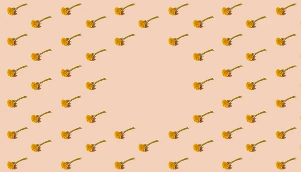 Изометрический Узор Свежими Цветущими Одуванчиками Пастельно Оранжевом Фоне Копировальным Пространством — стоковое фото