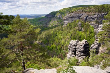 İlkbaharda Ulusal Park 'taki Kayalık ve Ormanlar Ceske Svycarsko veya Bohemian İsviçre