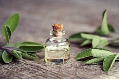 Taze adaçayı dallarıyla birlikte bir şişe gerekli yağ. Aromaterapi ya da alternatif tıp.