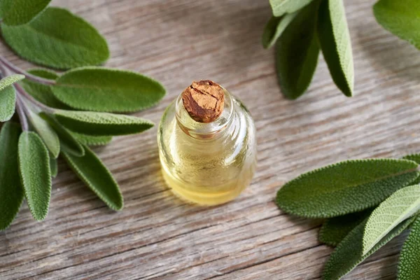 Adaçayı dallı bir şişe yağ.