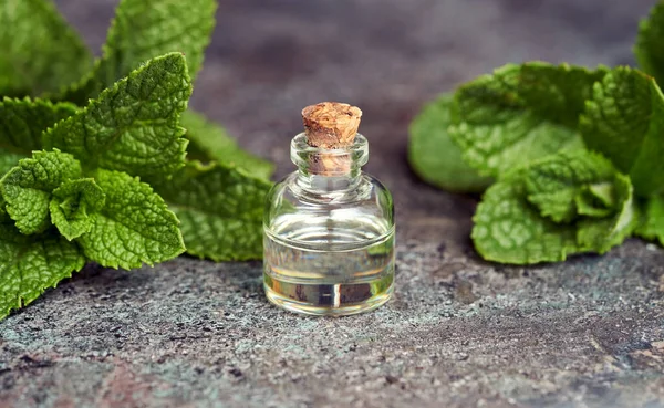 Arka planda taze nane yaprağı olan bir şişe gerekli yağ.