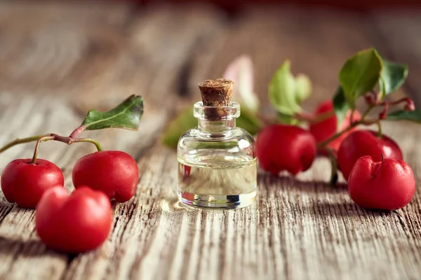 Una Botella Aceite Aromaterapia Con Hojas Frescas Bayas Una Mesa —  Fotos de Stock