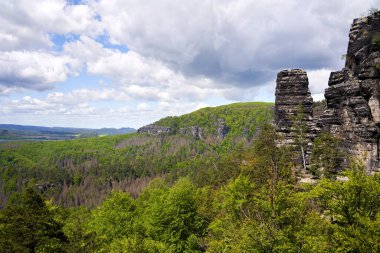 İlkbaharda Ulusal Park 'taki Kayalık ve Ormanlar Ceske Svycarsko veya Bohemian İsviçre