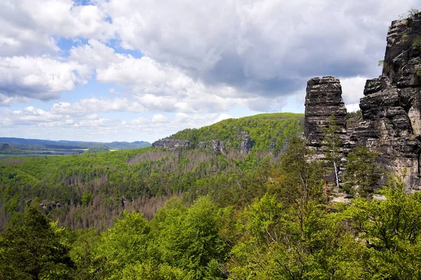 İlkbaharda Ulusal Park 'taki Kayalık ve Ormanlar Ceske Svycarsko veya Bohemian İsviçre