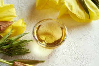 Taze çiçek açmış bir şişe çuha çiçeği yağı beyaz arka planda kopyalanmış Oenothera biennis dalları