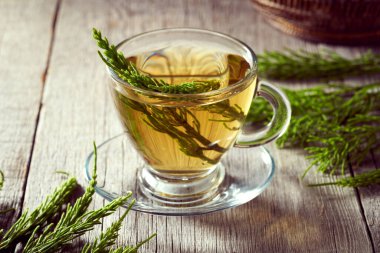 Taze at kuyruklu bitki çayı ya da Equisetum bitkisi