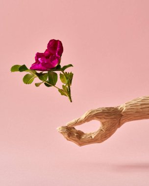 Rugosa gülü ahşap bir elden uçuyor. Ekoloji ya da sürdürülebilir yaşam tarzı kavramı.