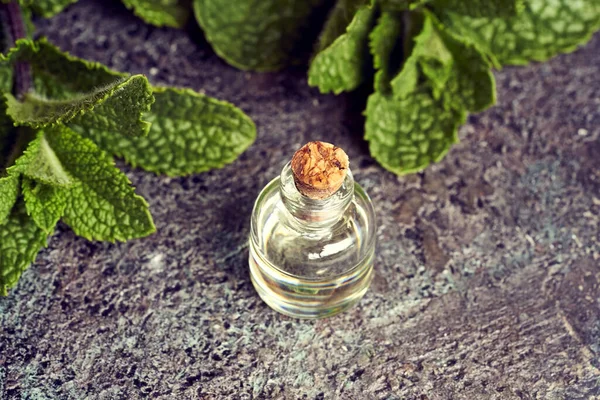 Una Botella Aceite Esencial Con Hojas Menta Fresca Fondo — Foto de Stock