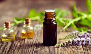 Masasında nane şekerinden dallar açan bir yağ şişesi. Aromaterapi ya da bitkisel ilaç.