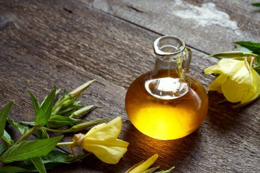 Taze çiçek açan Oenothera biennis bitkisiyle birlikte bir şişe çuha çiçeği yağı.