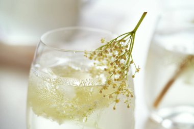 Taze yaşlı çiçeklerle dolu bir bardak limonata - yenilebilir vahşi bir bitki