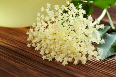 Arka planda bir kase ev yapımı bitkisel şurupla taze yaşlı çiçeklerin yakın çekimi.