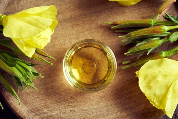 Evening Primrose Oil Fresh Oenothera Biennis Flowers Top View Alternative — Stock Photo, Image