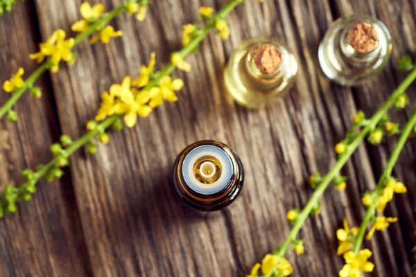 Een Fles Etherische Olie Tinctuur Met Verse Bloeiende Agrimoonplant Kruidengeneeskunde — Stockfoto