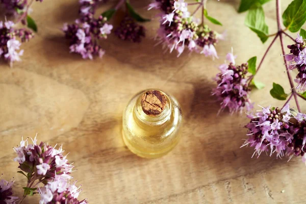 Una Botella Transparente Aceite Esencial Aromaterapia Con Ramitas Orégano Flor — Foto de Stock