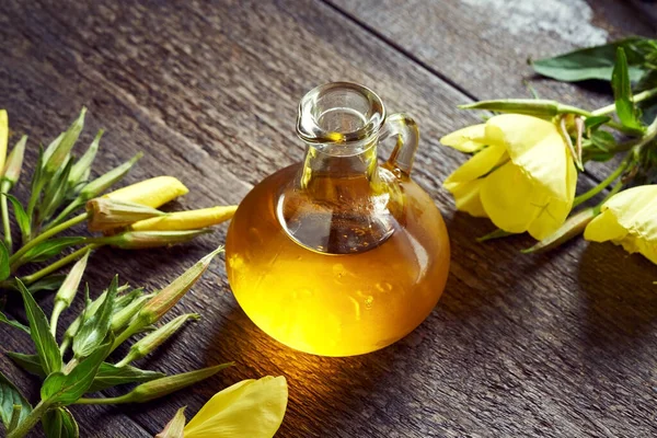 Una Botella Aceite Onagra Con Planta Floración Fresca — Foto de Stock