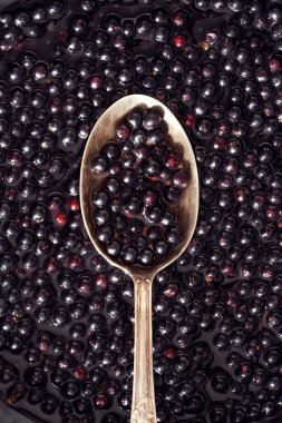 Kaşık üzerinde taze siyah yaşlı böğürtlen - ev yapımı bitkisel şurup hazırlama