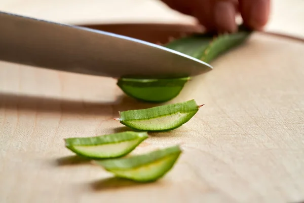 Cortar Hojas Frescas Aloe Vera Con Cuchillo Cerrar — Foto de Stock