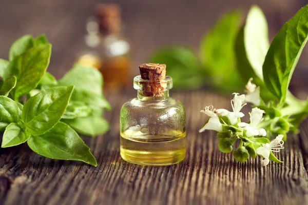 Een Fles Aromatherapie Etherische Olie Met Verse Bloeiende Basilicumplant — Stockfoto