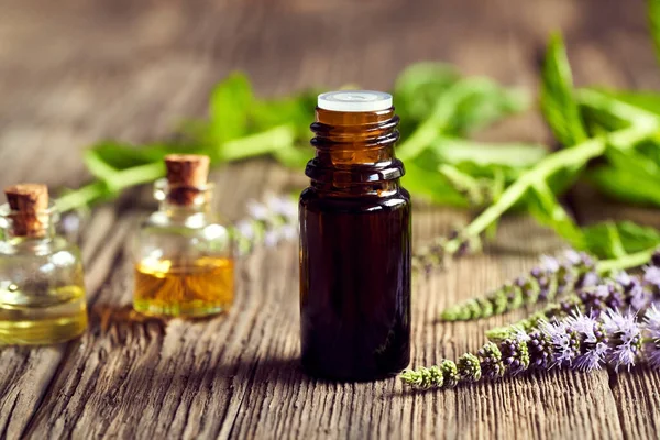 Een Fles Aromatherapie Etherische Olie Met Verse Bloeiende Pepermunt Plant — Stockfoto