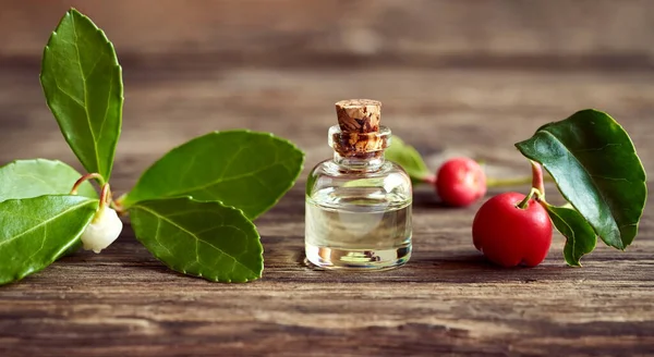Una Botella Aceite Esencial Aromaterapia Con Hojas Frescas Verdor Invernal — Foto de Stock