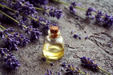 Bir şişe aromaterapi esaslı yağ ve koyu arkaplanda taze lavanta çiçekleri.