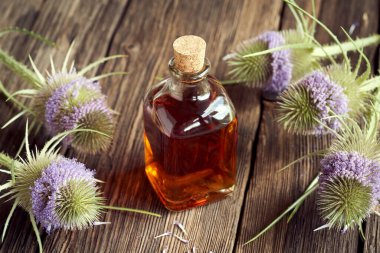 A bottle of homemade herbal tincture with wild teasel flowers clipart