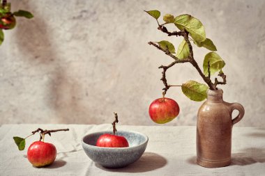 Masada yaprakları olan taze kırmızı elmalar - sonbahar fotokopi alanı ile sakin hayat