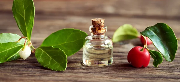 Eine Flasche Ätherisches Aromaöl Mit Frischen Wintergrünen Pflanzen Und Beeren — Stockfoto