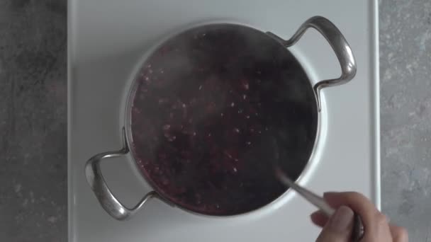 Preparation Homemade Black Elder Syrup Cooking Fresh Crushed Elderberries Water — Stock Video