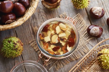 Preparation of homemade herbal tincture from fresh horse chestnut seeds in autumn