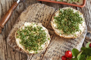 Tereyağlı iki dilim çörek ve taze yetiştirilmiş bahçe teresi lahanası ya da mikro yeşillikler.