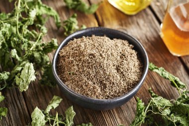 Kurumuş Urtica dioica yapraklı siyah bir kasede ısırgan otu tohumları.