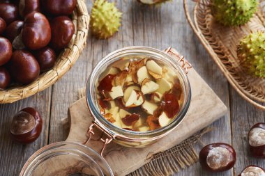 Alkolde eriyen taze at kestanesi tohumları. Ev yapımı bitkisel tentürler.