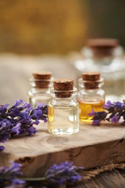 Şeffaf cam yağ şişeleri ve taze açan lavanta bitkisi.