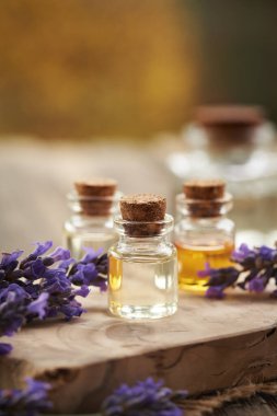 Şeffaf yağ şişeleri taze çiçek açan lavanta bitkileriyle, kopyalama alanı ile